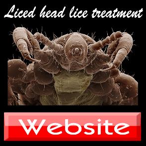 head lice treatment